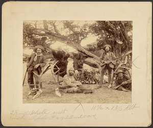 Festa di Lispenard Stewart, #6 - 5th Ave., N.Y. con trofei presso un vecchio cedro, Mammoth Hot Springs, Parco Nazionale di Yellowstone da Frank Jay Haynes