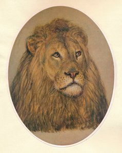 Testa di leone, c. 1896 da Frank Paton