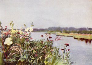 Norfolk Broads: Una riva di Bure da Frank Southgate