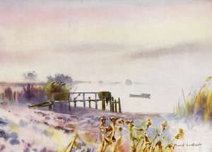 Norfolk Broads: Alba Gelida su Ormesby Broad