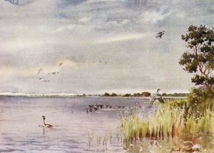 Norfolk Broads: Horsey Mere da Frank Southgate