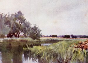 Norfolk Broads: Fieno di Palude - Trasporto sullo Yare da Frank Southgate