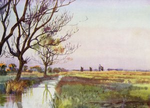 Norfolk Broads: Palude vicino a Barton