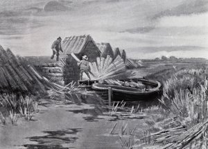 Norfolk Broads: Impilamento delle canne da Frank Southgate