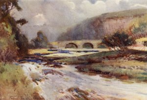 Sul Allen