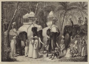 Gli elefanti del Rajah di Travancore da Frank Vizetelly
