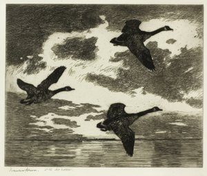 Mattina nuvolosa da Frank Weston Benson
