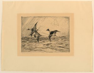 Anatre ghiacciate da Frank Weston Benson