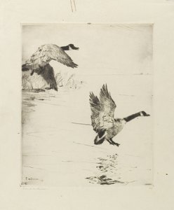 Oche in atterraggio da Frank Weston Benson