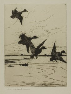 Anatre in Atterraggio da Frank Weston Benson