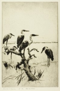 Aironi a riposo da Frank Weston Benson