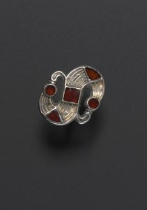 Fibula d