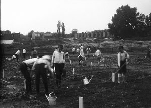 Giardino del lotto vacante da Franklin Davenport Edmunds