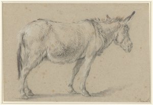 Asino in piedi, verso destra da François Boucher (possibly)