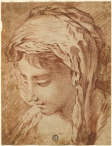 Testa di donna