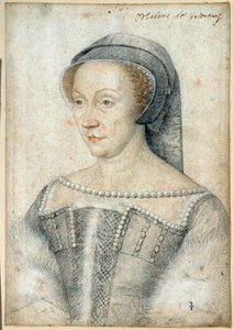 Ritratto di Diana di Poitiers, Duchessa di Valentinois (1499 - 1566). Disegno a pietra nera e sanguigna di François Clouet (1515-1572) da François Clouet