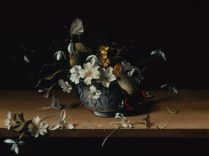 Fiori in una ciotola di porcellana cinese blu e bianca con una farfalla ammiraglio rosso su una mensola di legno da François Habert