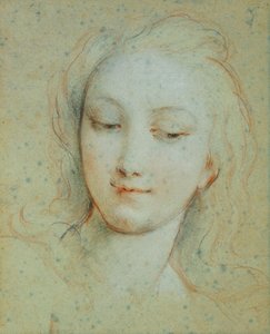 La testa di Venere