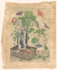 Convolvolo in un vaso di terracotta