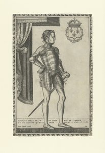 Ritratto di re Carlo IX di Francia da Frans Huys