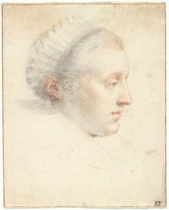 Ritratto di profilo di una Signora da Frans II Pourbus