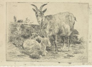 Capra con cuccioli da Frans Lebret