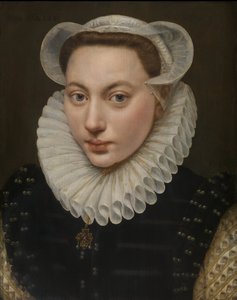 Ritratto di una giovane donna da Frans Pourbus the Elder