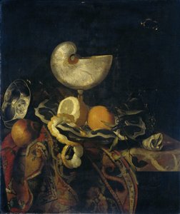 Natura morta con coppa di Nautilus da Frans Sant Acker