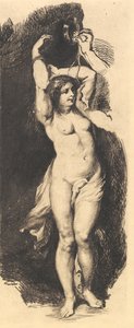 Andromeda, dopo Rubens da Frans Schwartz