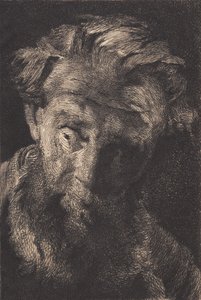 Vecchio barbuto che guarda di lato da Frans Schwartz