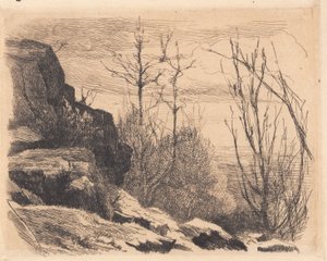Tavola di prova: Paesaggio con rocce e alberi da Frans Schwartz