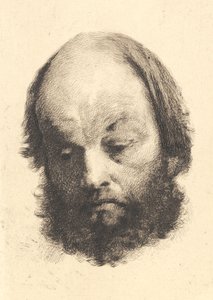 Uomo con barba nera, Garibaldi da Frans Schwartz