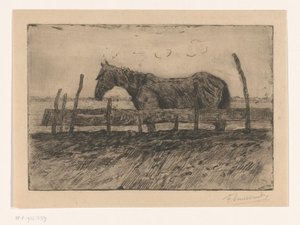 Cavallo da Frans Smissaert (signed by artist)