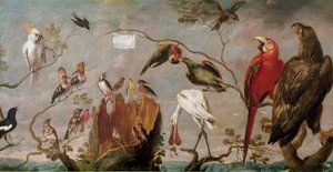 Concerto di uccelli Dipinto di Frans Snyders (Snijders) (1579-1657) XVII secolo Madrid, Museo del Prado da Frans Snyders