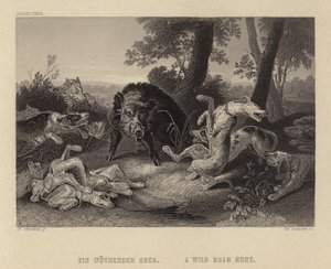 Caccia al Cinghiale Selvatico da Frans Snyders or Snijders