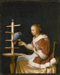 Giovane donna che nutre un pappagallo, 1663 da Frans van Mieris the Elder