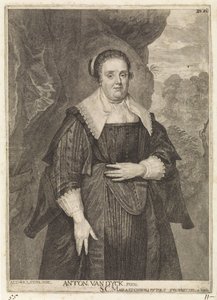 Ritratto di una donna sconosciuta da Frans van Stampart
