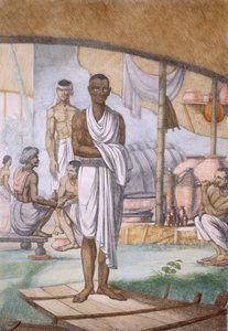 Vinaiolo e commerciante, da 