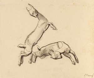 Capretti saltellanti