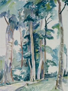 Scena di bosco