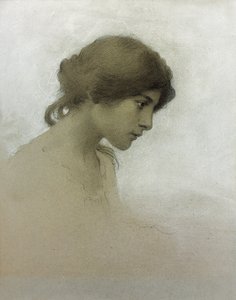 Testa di una ragazza