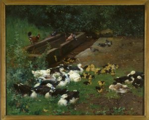 Famiglie di anatre da Franz Grassel