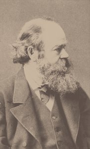 Ritratto del compositore Robert von Hornstein 1833-1890 da Franz Hanfstaengl