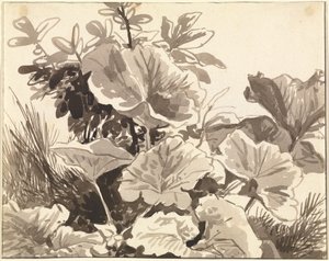 Studio delle foglie di piantaggine