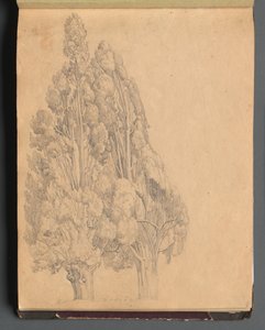 Alberi da Franz Johann Heinrich Nadorp