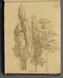 Alberi da Franz Johann Heinrich Nadorp