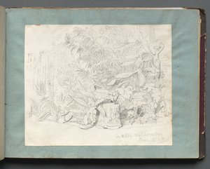 Album con vedute di Roma e dintorni, studi di paesaggio, pagina 24a: In Villa Walkonsky da Franz Johann Heinrich Nadorp