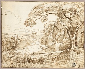 Paesaggio panoramico