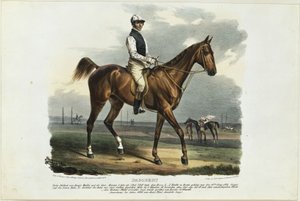  da Franz Krüger