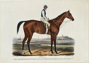  da Franz Krüger